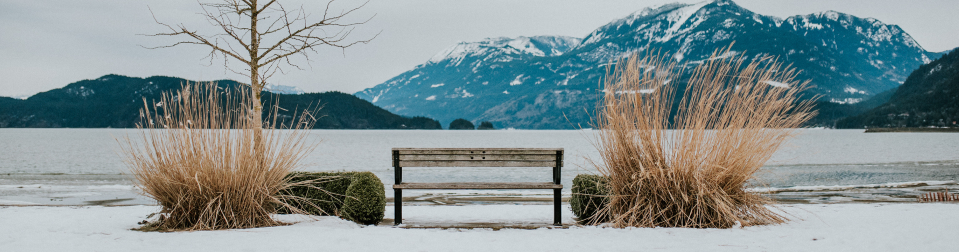 Winter Bench
