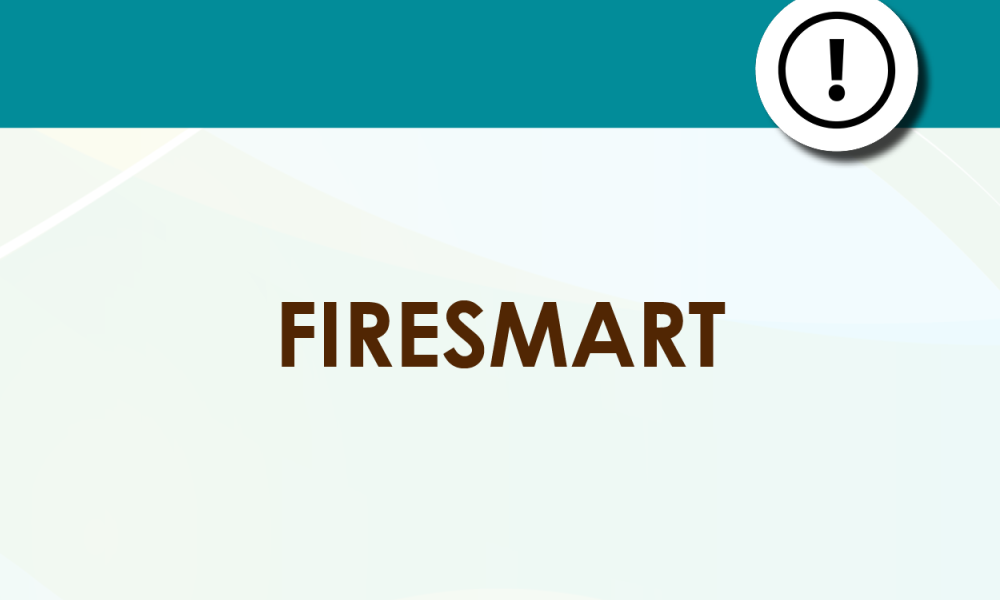 Fire Smart