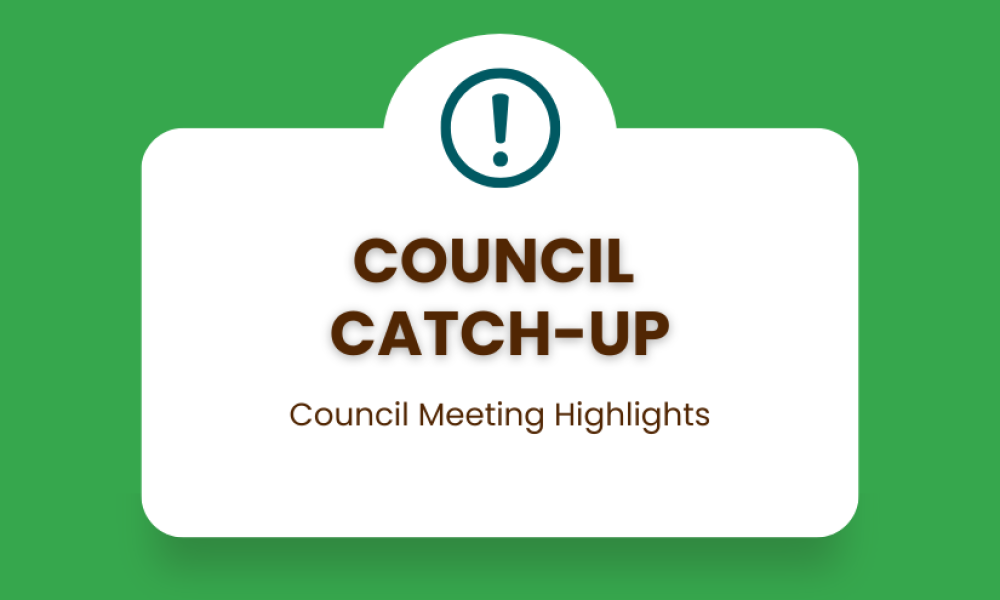 Council Catch-Up
