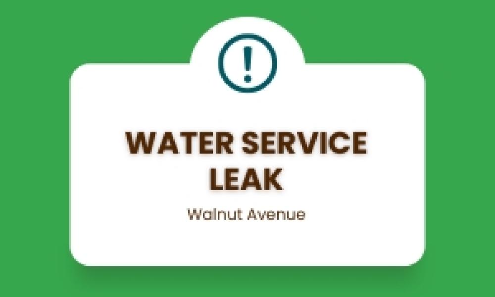 Water Service Leak Walnut Avenue