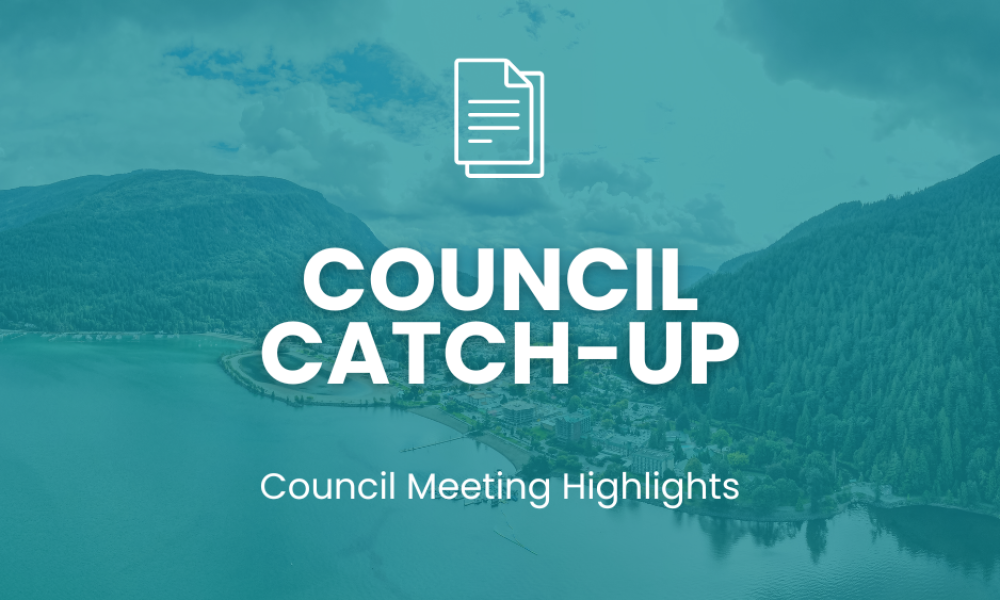 Council Catch-Up
