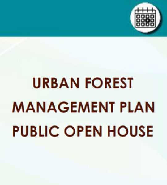Public Notice image stating "Urban Forest Management Plan Public Open House"