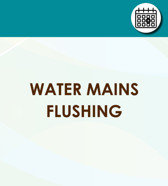 Water Mains Flushing