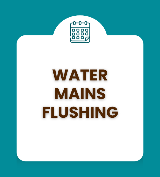 Water Mains Flushing