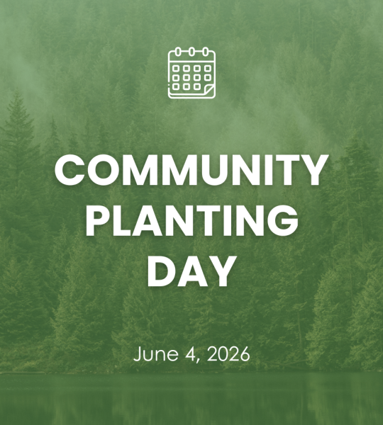 Community Planting Day