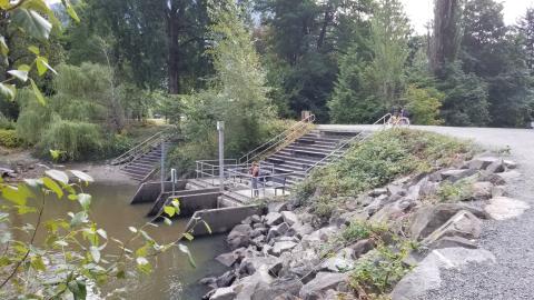 Qwolts Park Tiered Seating 