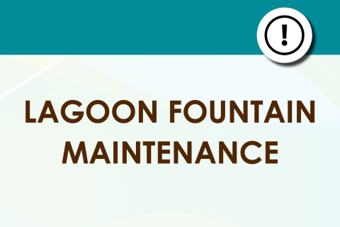 Lagoon Fountain Maintenance