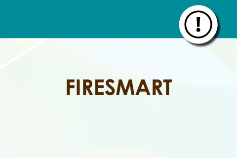 Fire Smart