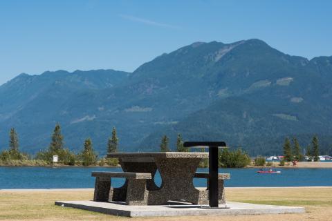 BBQ Table