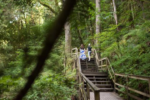 Bridges Trail