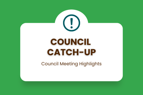 Council Catch-Up