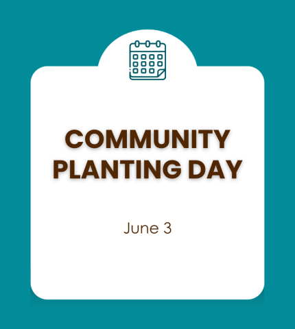 Community Planting Day