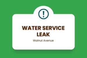 Water Service Leak Walnut Avenue