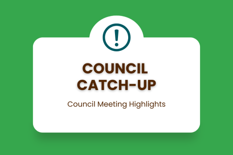 Council Catch Up