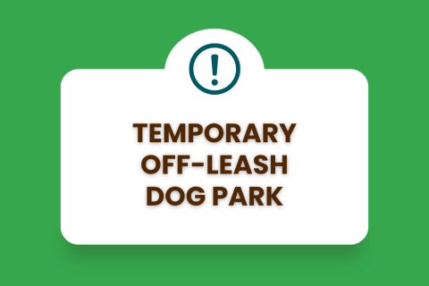 Temporary Off-Leash Dog Park