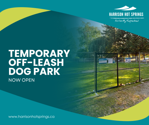 Temporary Off-Leash Dog Park