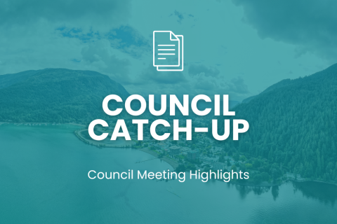 Council Catch-Up