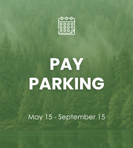 Pay Parking