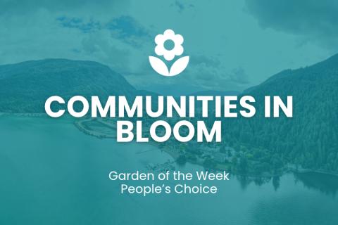 CiB Garden of the Week Graphic